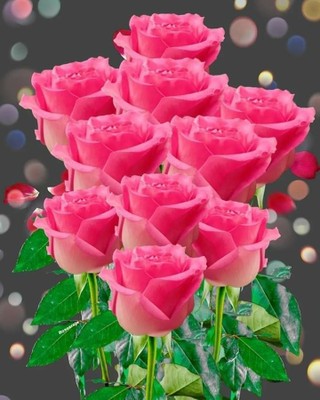 Roses_011623B