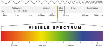 The Electromagnetic Spectrum_012122A
