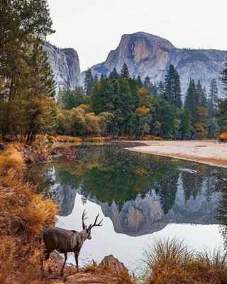 National Park_California_032221A