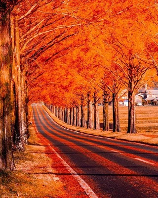 Orange Road_Japan_032421A