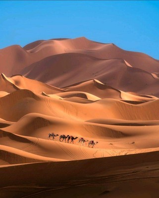 Sahara Desert_Morocco_061921A