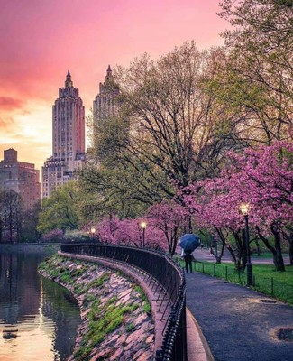 Central Park_New York City_032721A