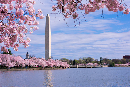 Washington Monument_100822A