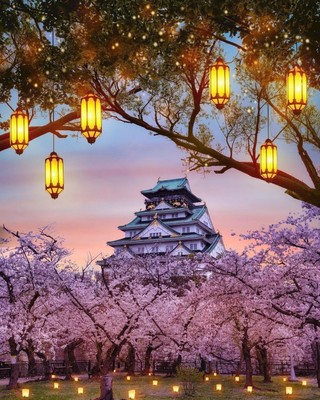 Osaka Castle_Japan_062122A