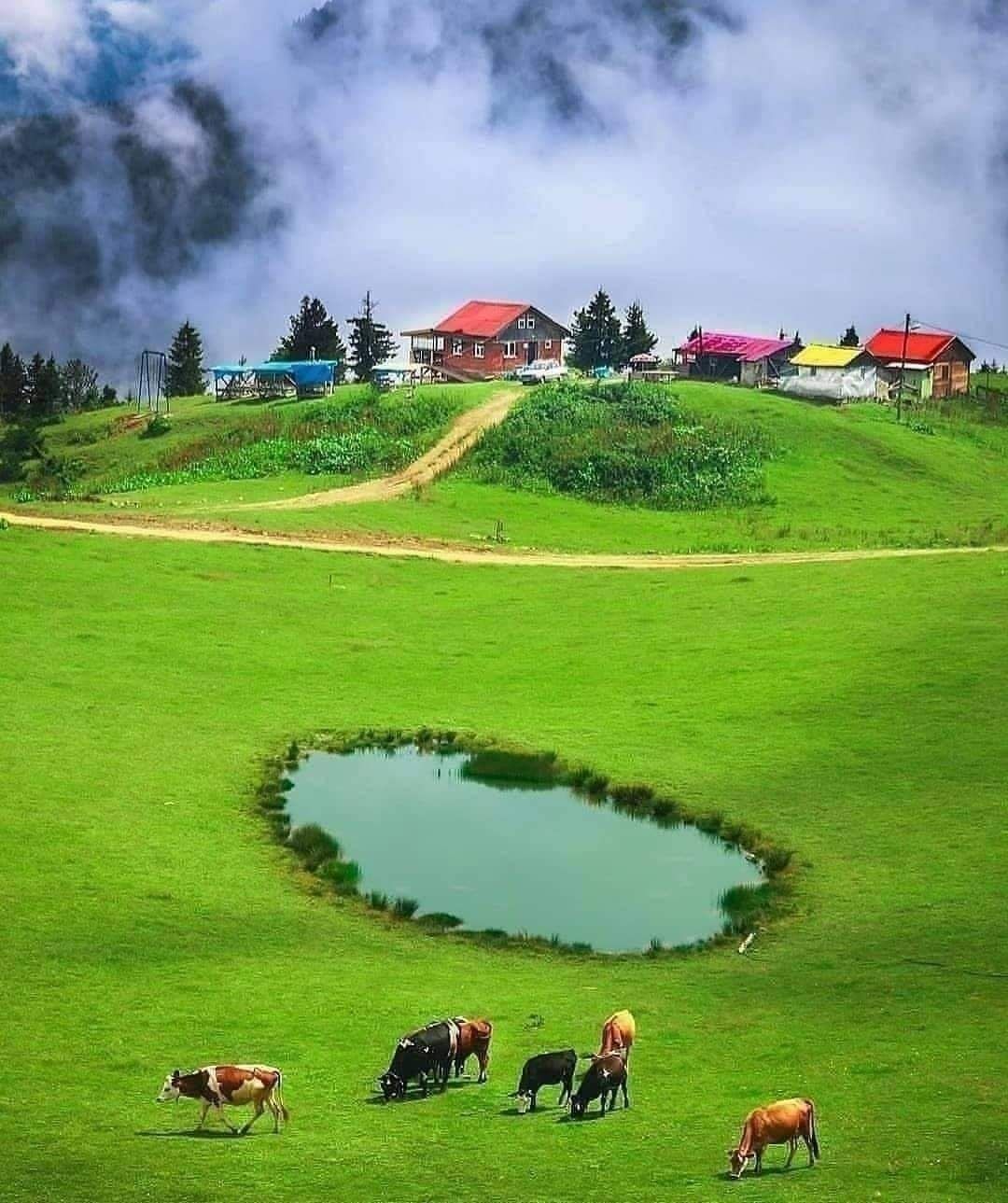 Rize_Turkey_030221A