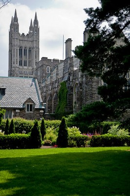 Princeton_University_Garden_128