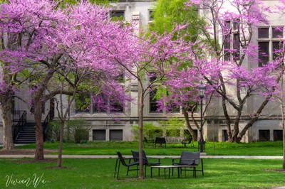 The University of Chicago_050723A