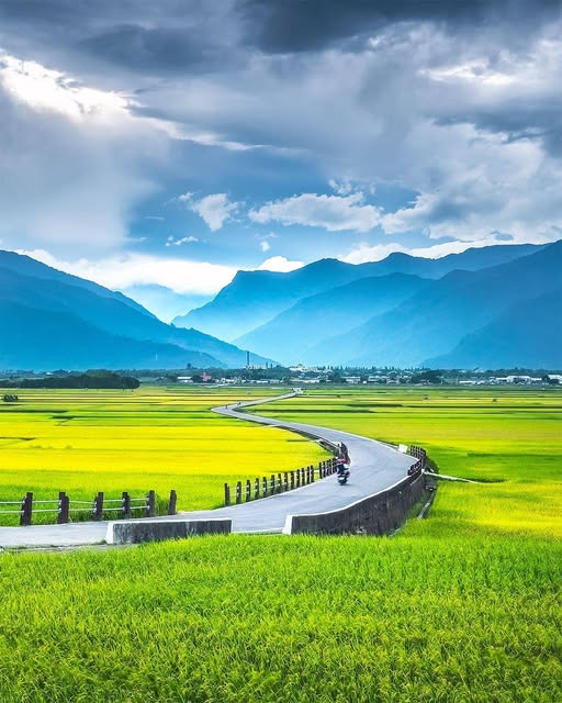 Taitung Blanc Avenue_Taiwan_071325A