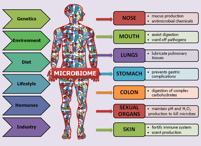 Microbiome_linkedin_102520A