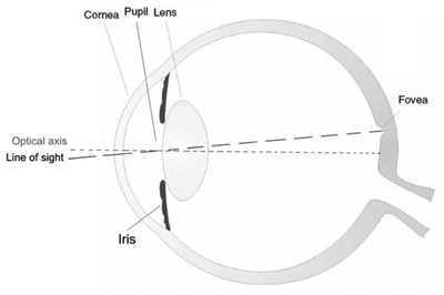 The Optical System of the Human Eye_122522A