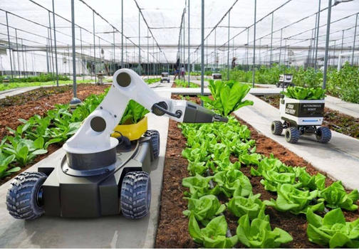 Smart Farming_082423A