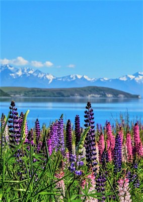 Lake Tekapo_072723A