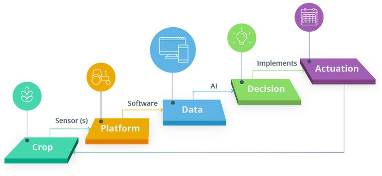 AI in Agriculture_092922A