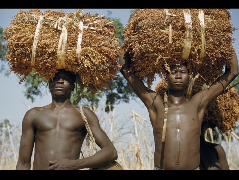 Sorghum Farmers_121822A