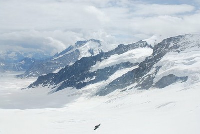 Jungfrau_DSC_0710