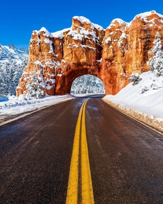 Bryce Canyon National Park_Utah_120220A