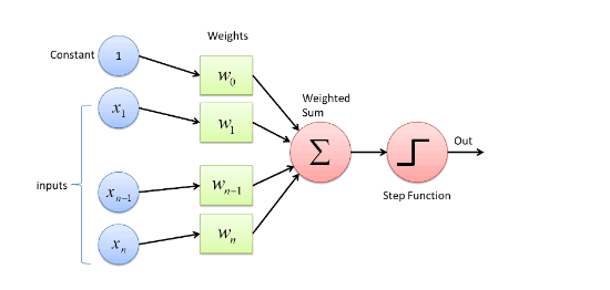 Perceptron_012924A