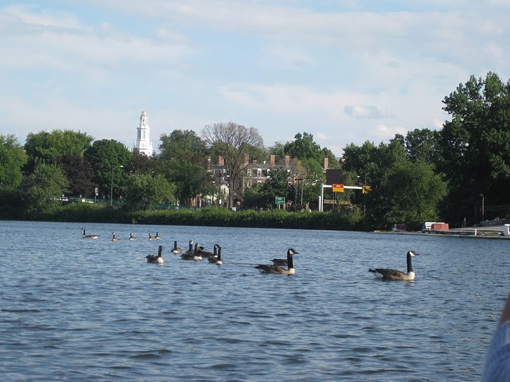 Harvard (Charles River) IMG 7667