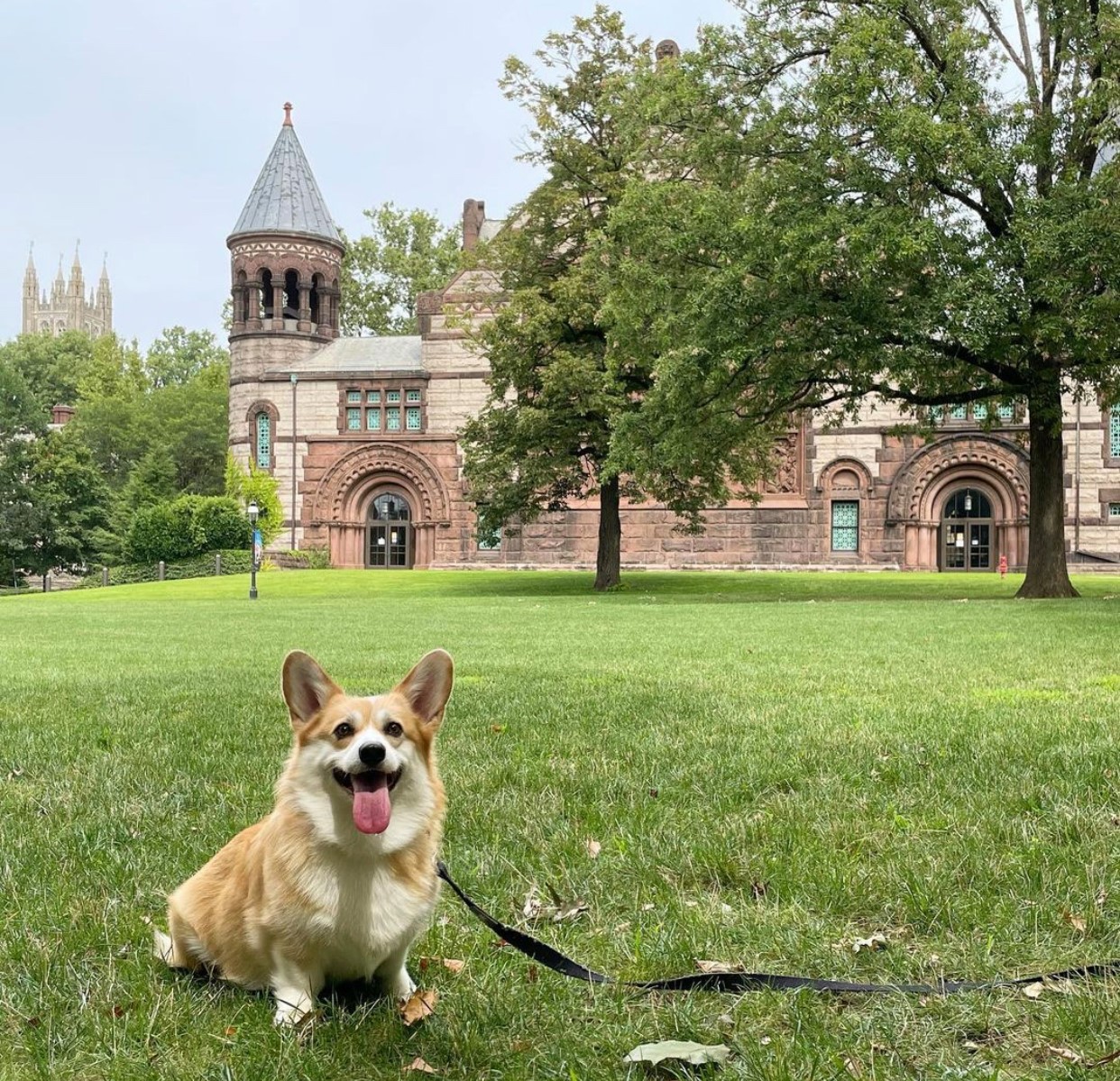 Princeton University_010722F