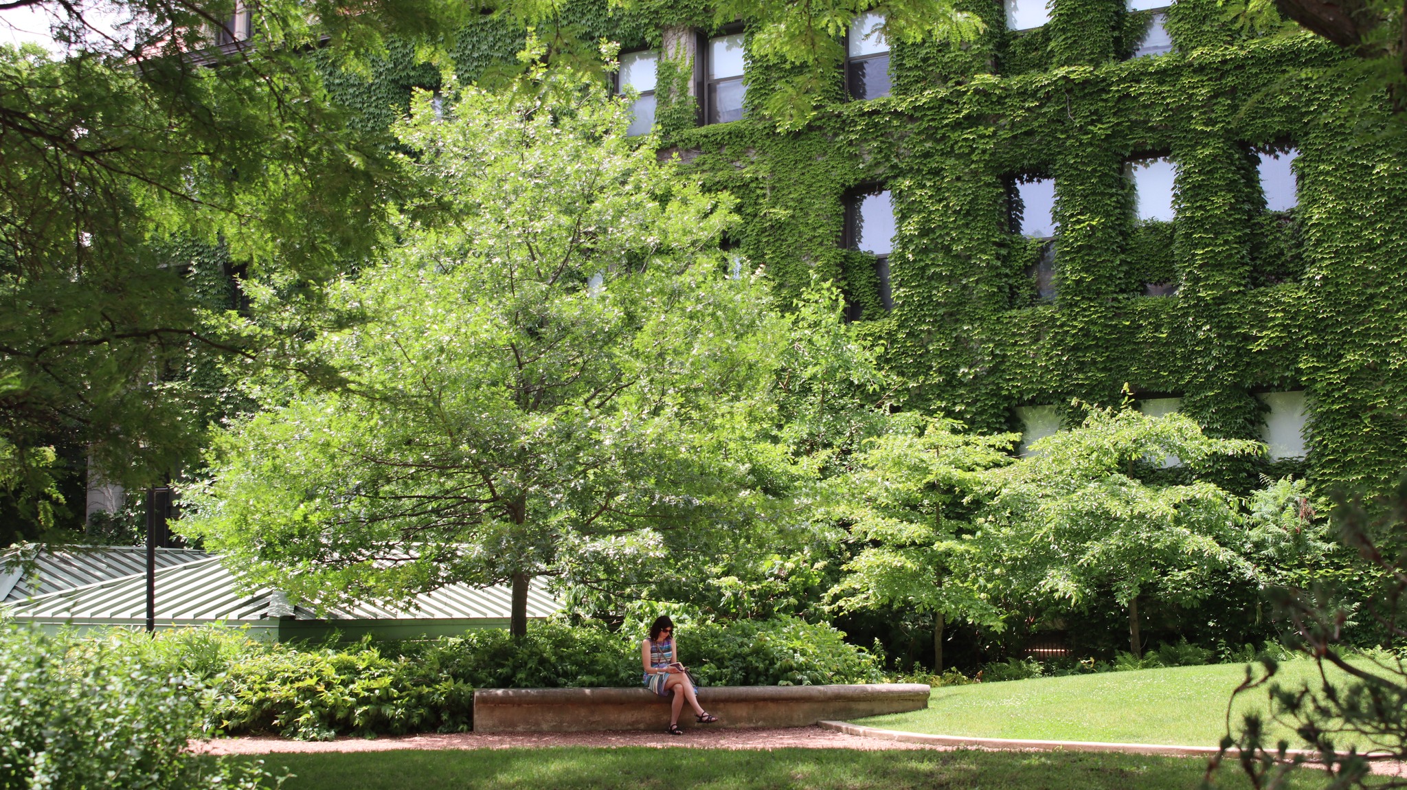 The University of Chicago_062022B