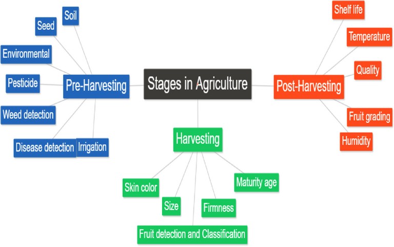Stages in Agriculture_111322A