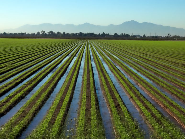 Irrigation Canals_121822A