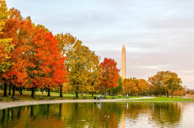 Washington DC_100423A