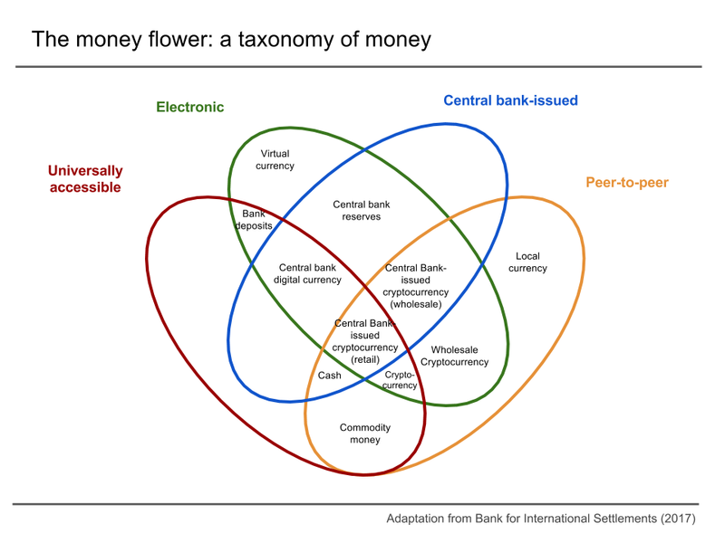 The Money Flower_072722A