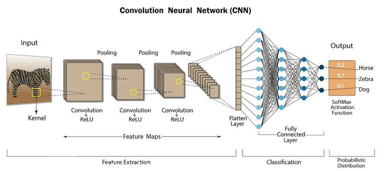 Convolutional Neural Networks_122823A