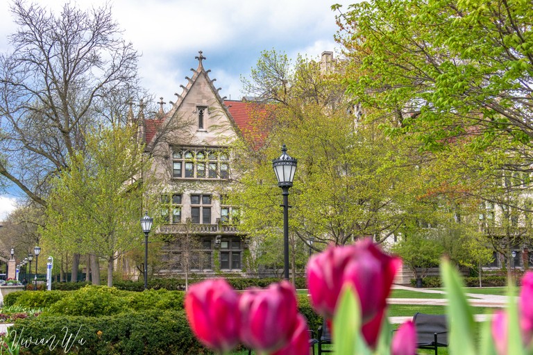 The University of Chicago_050723C